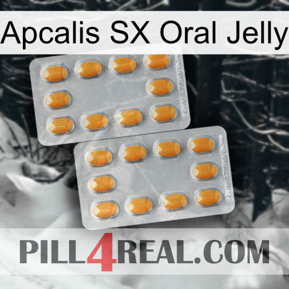 Apcalis SX Oral Jelly cialis4.jpg